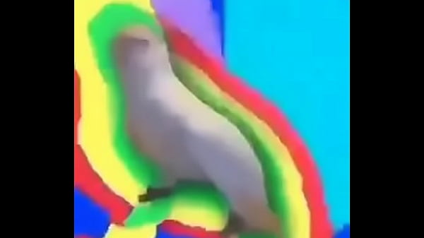 Loro Que Baila thumbnail