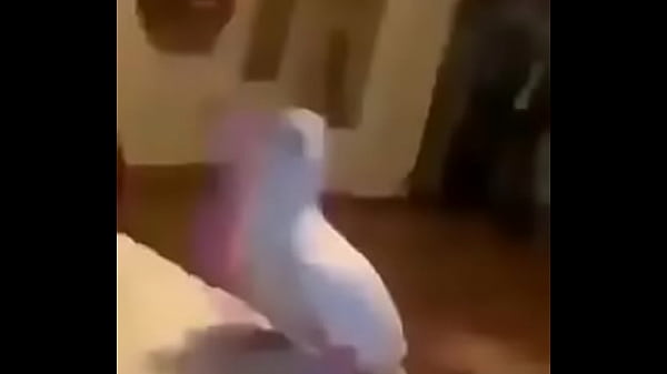 Nonton Loro Que Baila thumbnail