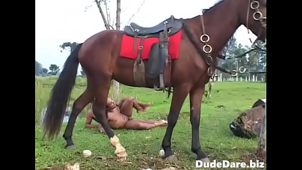 Cowboys Fucking Outdoors After A Thrilling Ride thumbnail