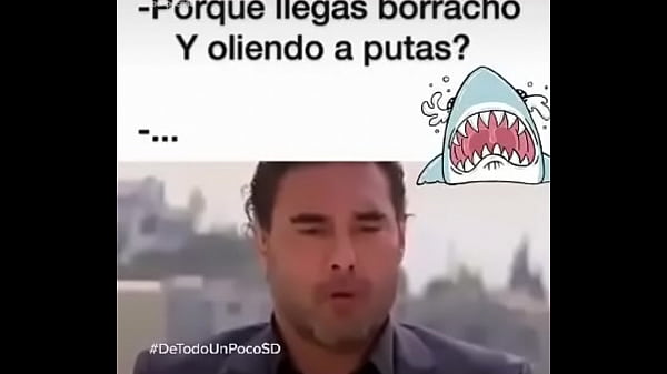 V&iacute_deo de verificaci&oacute_n