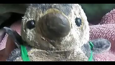 この儂(わし)の