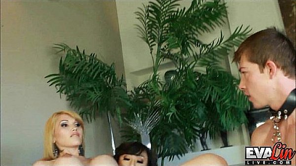 Sexy Trannies Eva Lin And Venus Have A New Slaveboy To Break In thumbnail