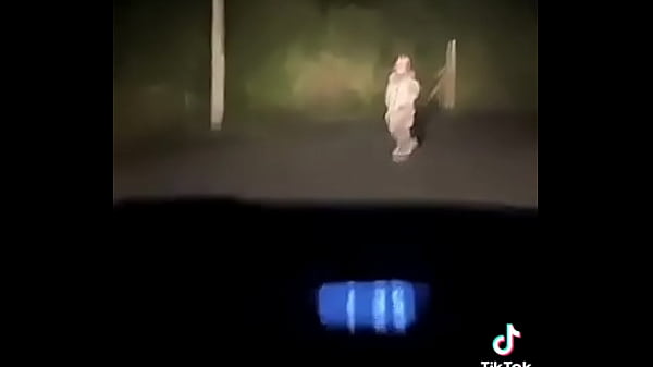 V&iacute_deo de verificaci&oacute_n