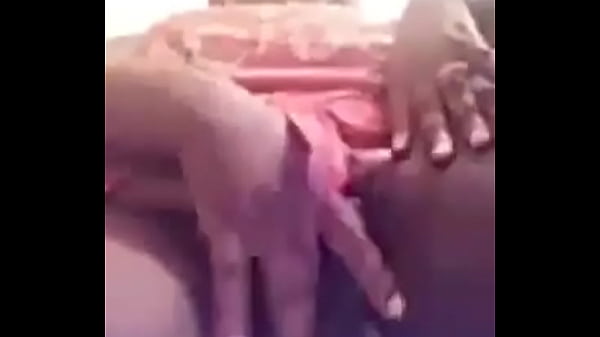 Ebony Fat Ass And Pussy thumbnail