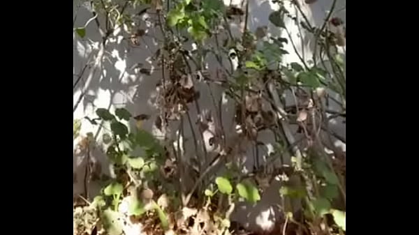 Distance Piss