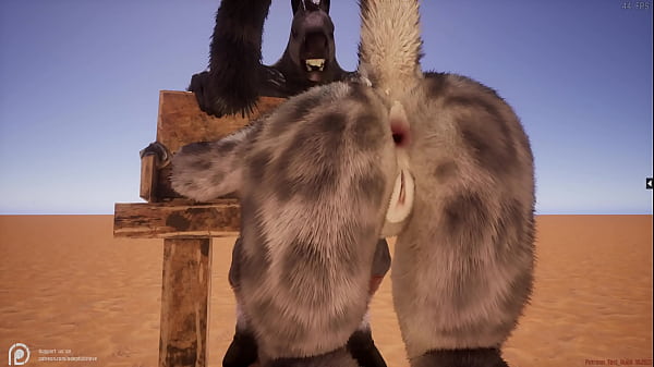 Furry Yiff thumbnail