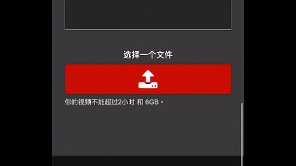 验证视频