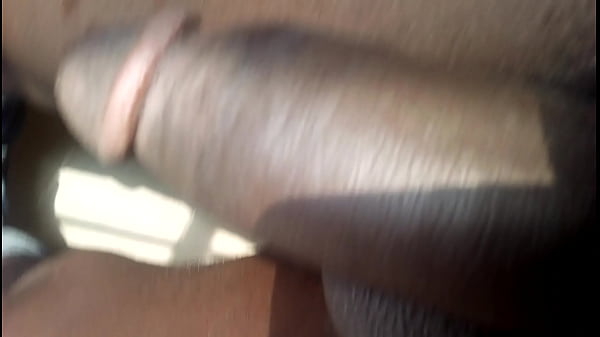 Long dick display