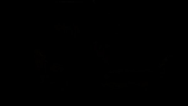 Nonton Pretty Blonde In Purple Pantyhose thumbnail