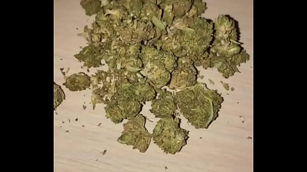 Hazelnutxxx thumbnail