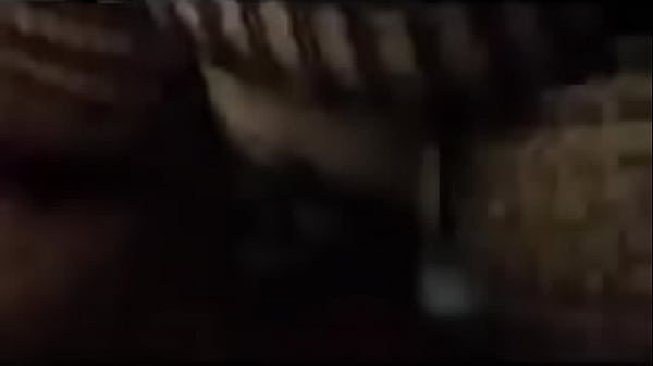 IMG 1626