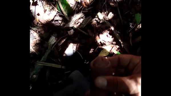 Nonton Bicho thumbnail