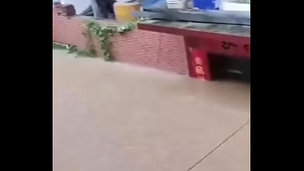 验证视频