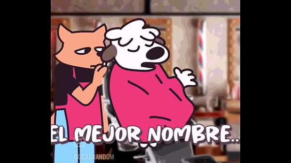 Xd 