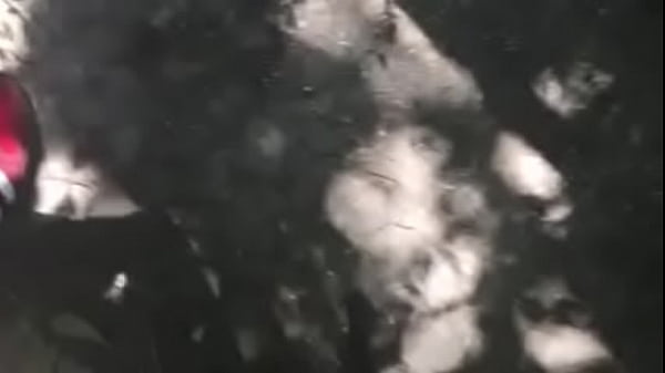 Nonton Grupo De Punheteiros No Mato thumbnail