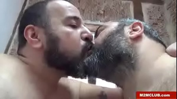 Os Tr&ecirc;s Grandes Ursos thumbnail