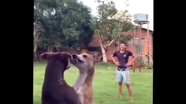 Nonton Momazos 4 Xx Xx Xx Xx thumbnail