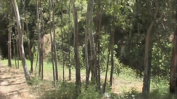 Nonton Hailey Gets Her Pussy And Ass Banged thumbnail