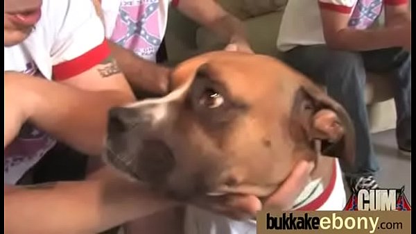 Black Girl Sucks Many White Cocks In Redneck Group 4 thumbnail