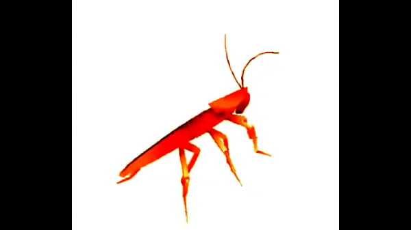 SAMU DESTRUCTOR DE SERVERS