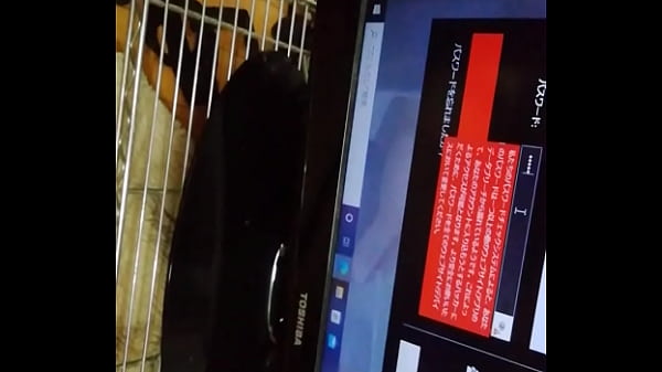認証動画