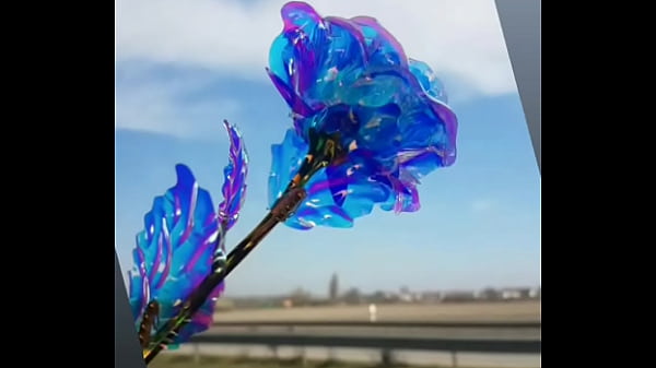 فيديو التحقق thumbnail