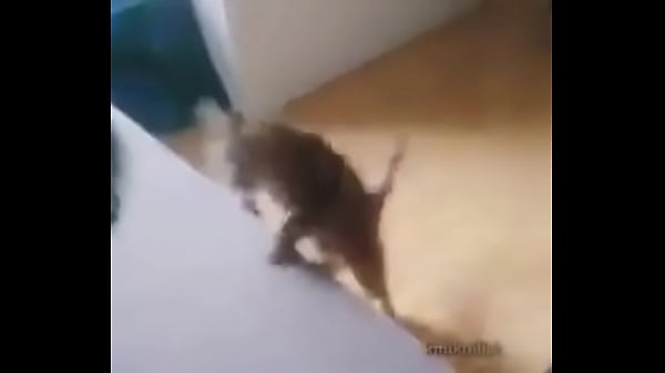 ME ENCUENTRO CON COLEGIALA Y TERMINAMOS EN MOTEL 