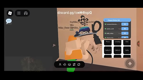 Femboy folla en Roblox