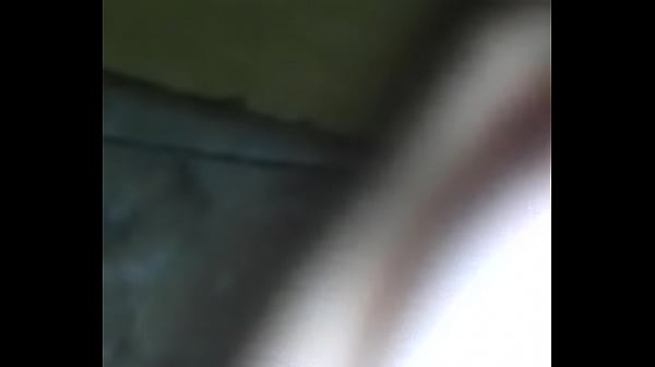 apresenta&ccedil_&atilde_o do meu PAU