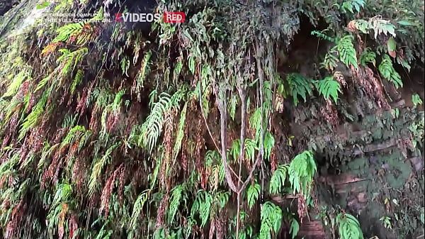 Nonton Essa Novinha Sabe O Que Fazer Essa Rola, Da Uma Olhada Nisso thumbnail