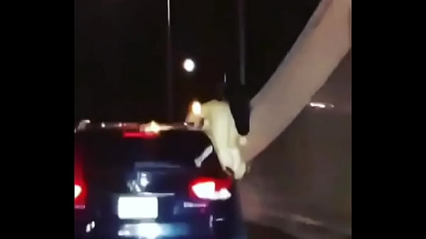 Nonton Ensegundos Pa 917114015519735810 thumbnail