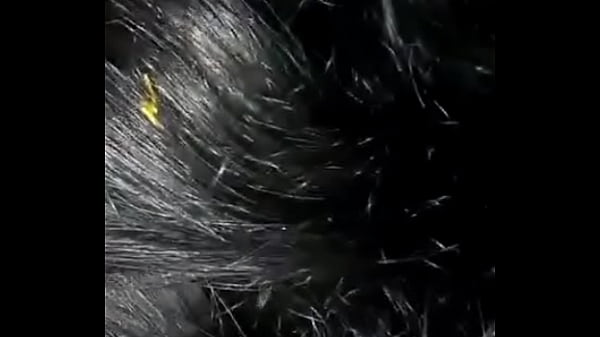 Tamil Couple Enjoying thumbnail