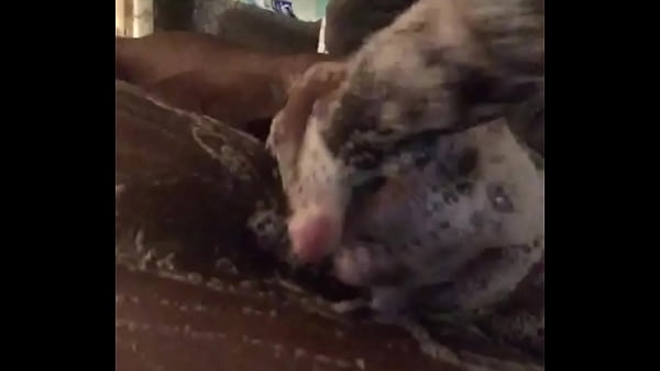 Trim.f87f7dca-e168-49ee-add7-dc20185a0970.mov thumbnail