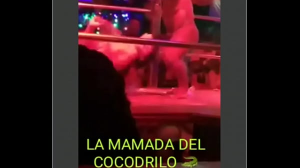 Nonton Cocodrila thumbnail