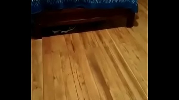 Gorditos Follan Como Perros thumbnail