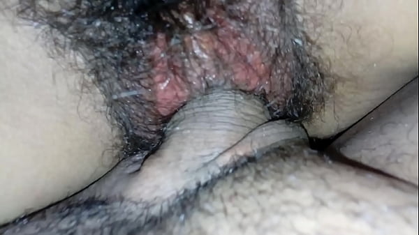 Cobra 84 Peluda thumbnail