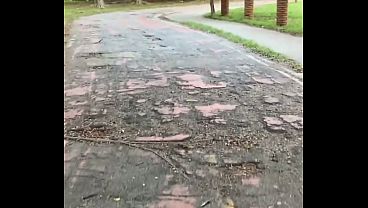 Pega&ccedil;ao Gostosa No Mato /hot Make-out Session In The Woods thumbnail