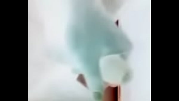 20140814 083008 