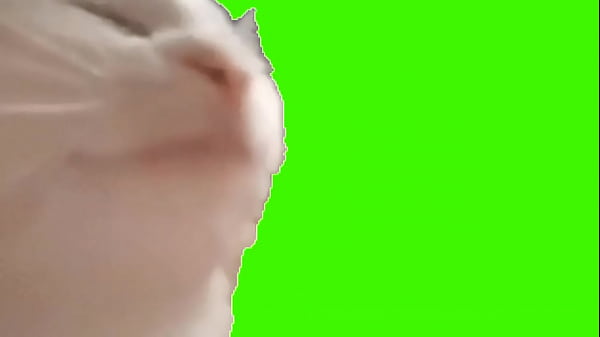 V&iacute_deo de verifica&ccedil_&atilde_o