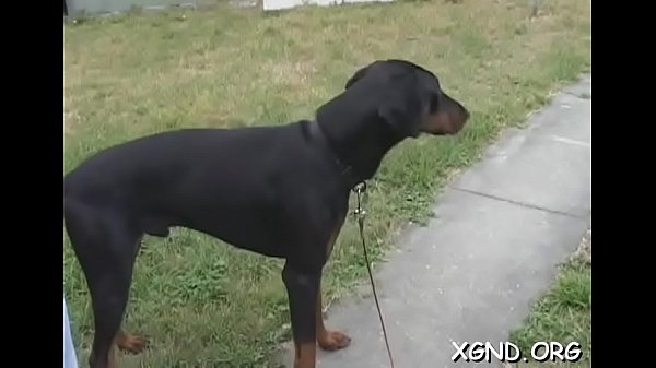 Nonton Non-professional Enticed Into Fucking thumbnail