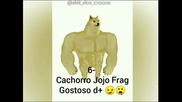 V&iacute_deo de verifica&ccedil_&atilde_o