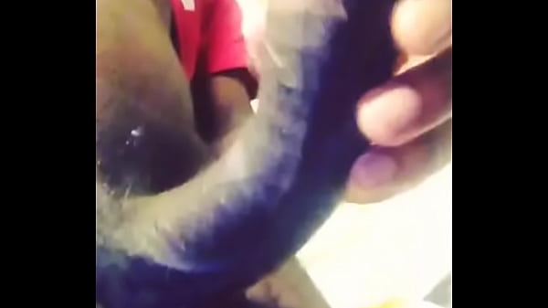 Trim.a55d8f34-ba05-4c6f-a0ac-6acab76e99b4.mov thumbnail