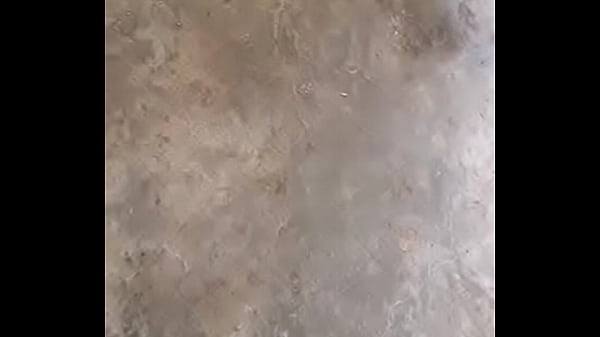 V&iacute_deo de verificaci&oacute_n
