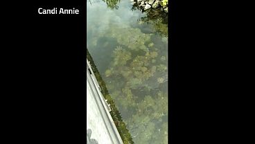 Caribbean Cruise with Mature Sexy Swinging GILF Slut Candi Annie free edition! 