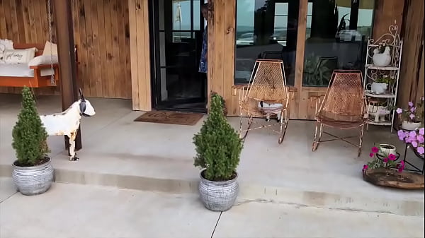 Nonton 1st Month Discount In The Comments ⬇️check Out My Latest Video Dropped Today On My Vip Sites:"from Listing To ... thumbnail