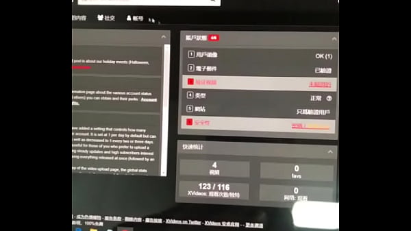 验证视频