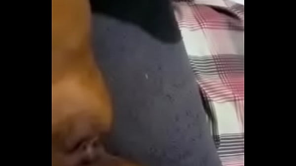 Nonton If You Wanna Fuck She&rsquo;s There thumbnail