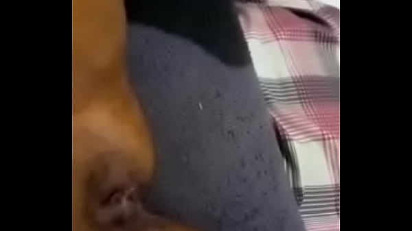 Elle est prê_te pour baiser