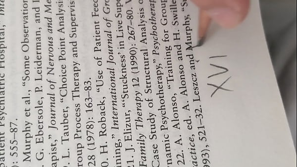 验证视频