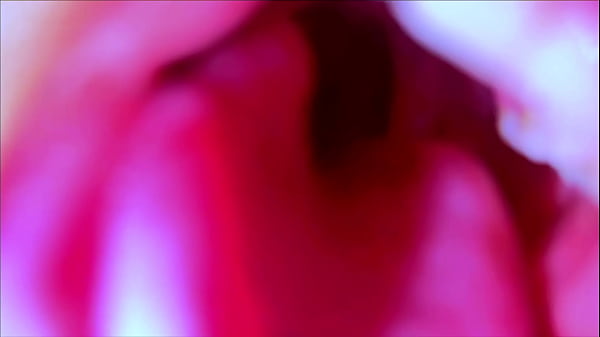 Compilation: Pee In Home & Toilet Sex With Bathroom Washing Brash! thumbnail